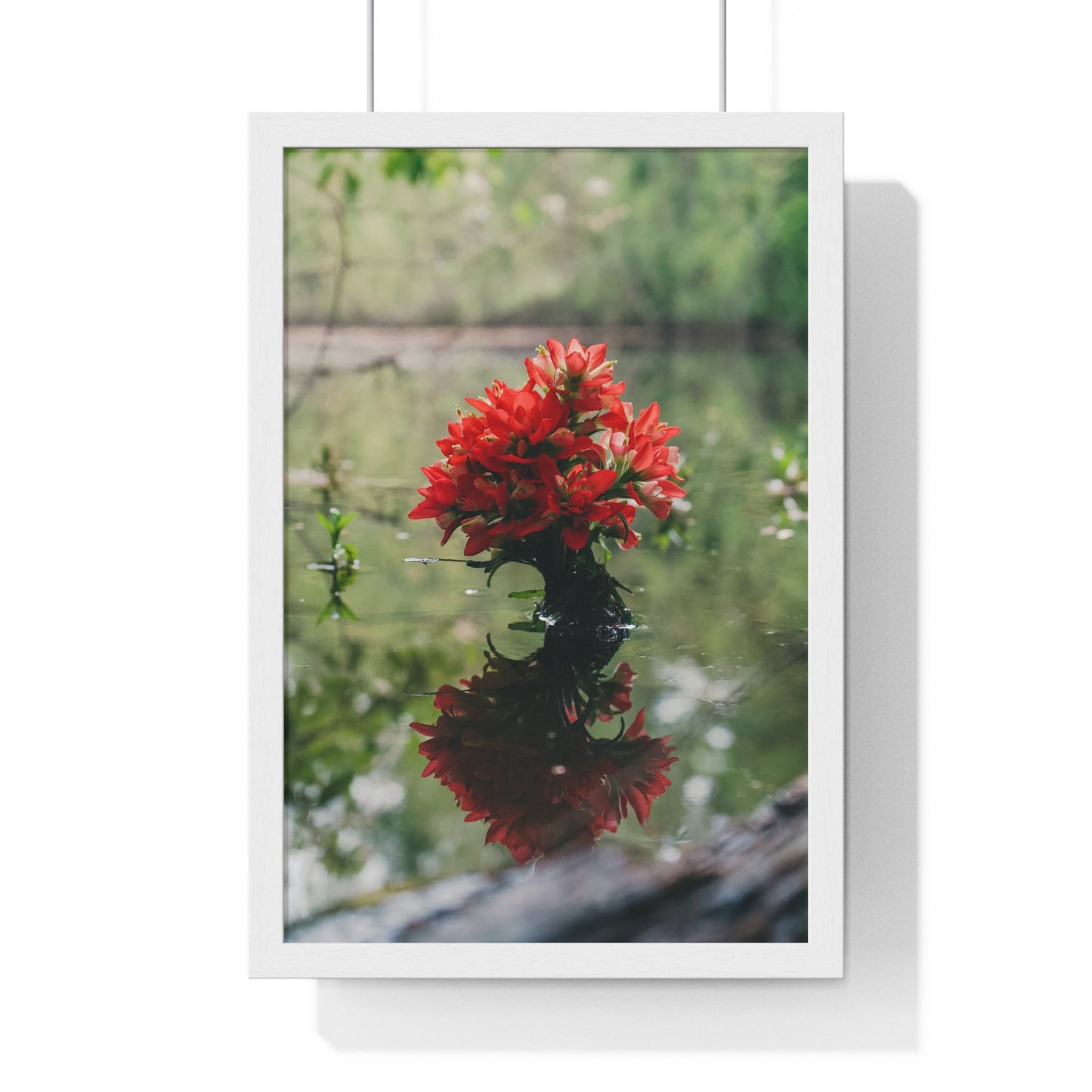 Floatin’ Bloom – Framed Floral Photography by Ryan Davis