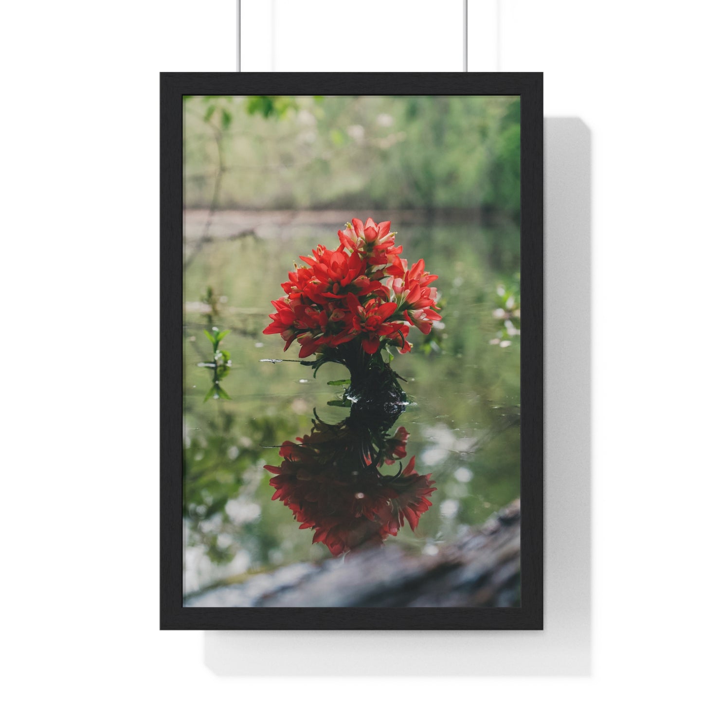 Floatin’ Bloom – Framed Floral Photography by Ryan Davis