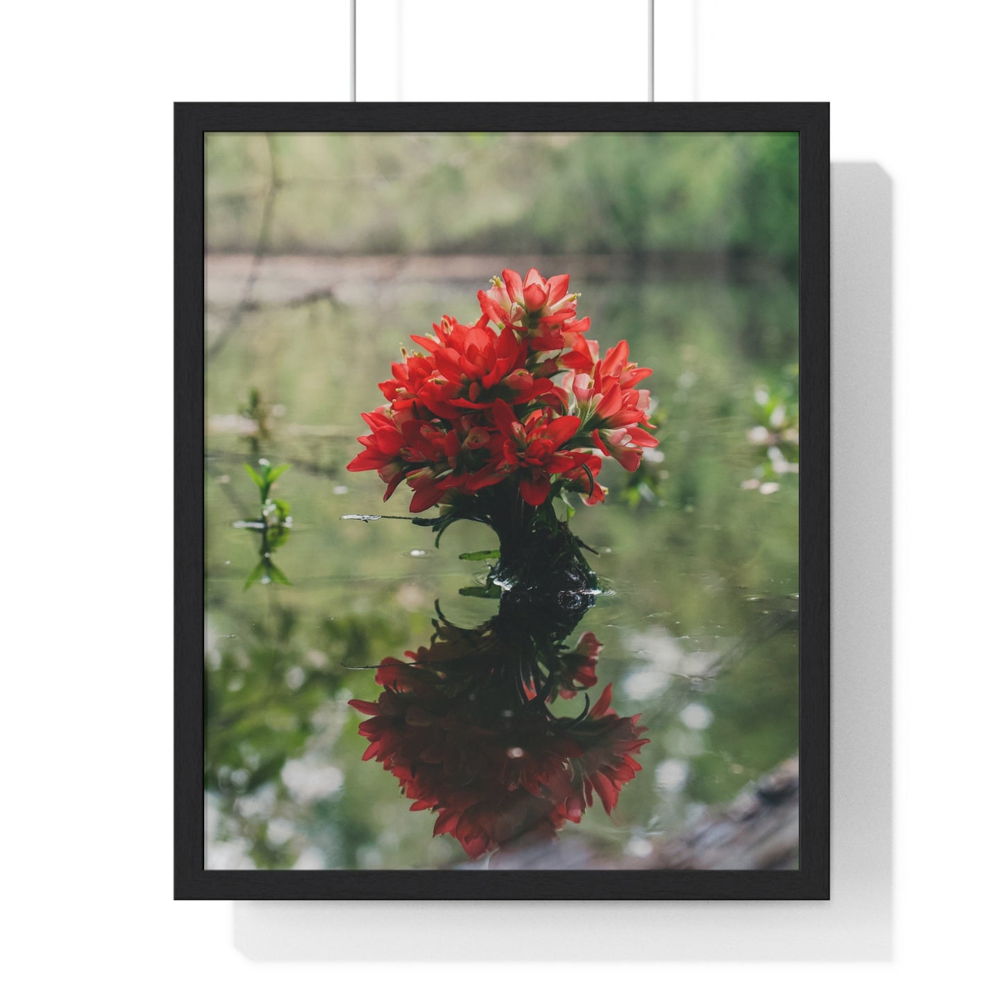 Floatin’ Bloom – Framed Floral Photography by Ryan Davis
