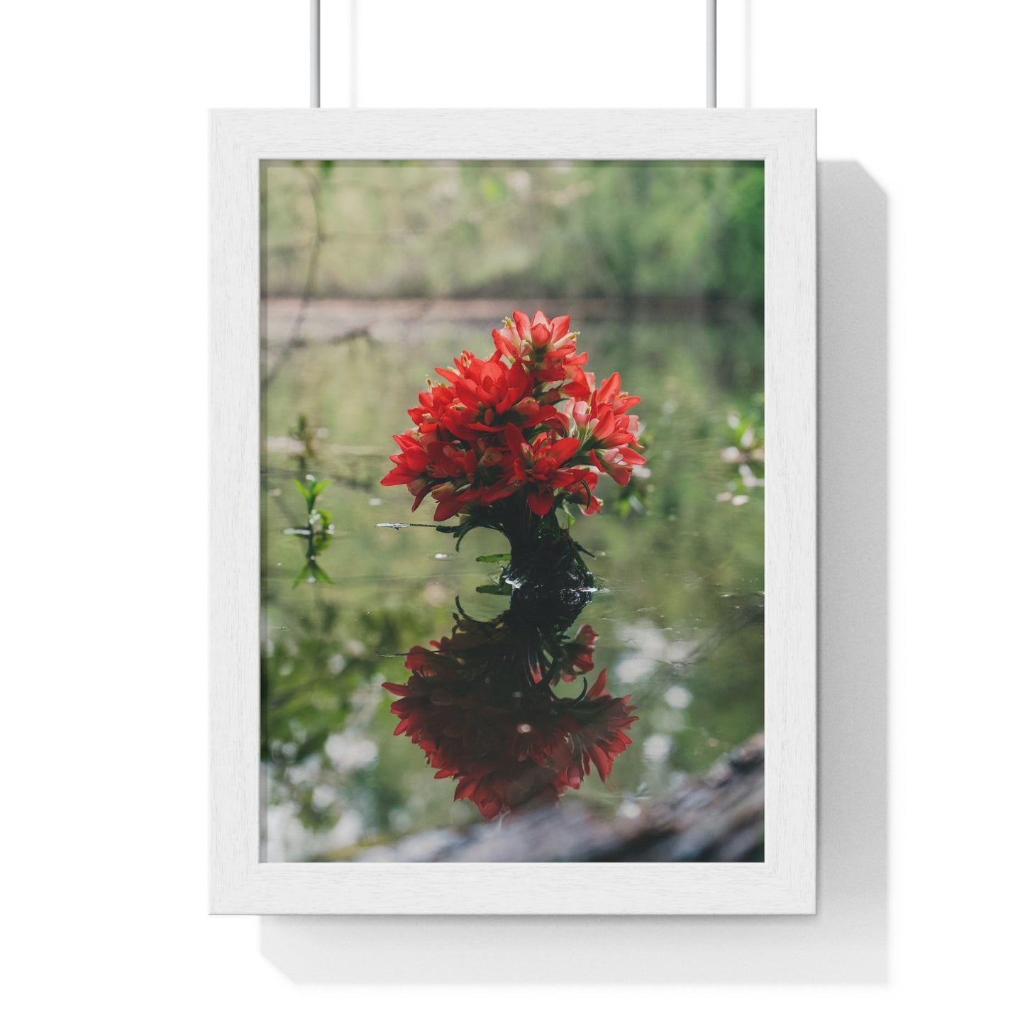 Floatin’ Bloom – Framed Floral Photography by Ryan Davis