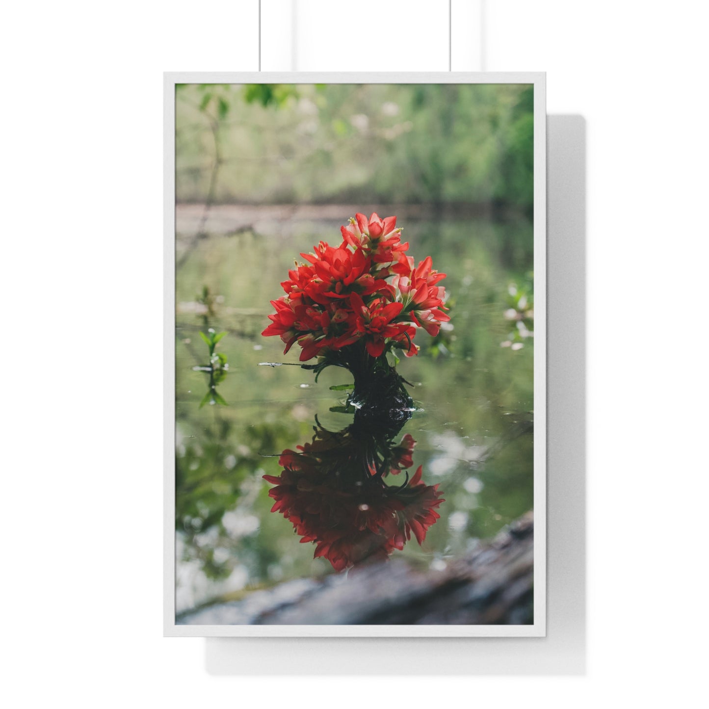 Floatin’ Bloom – Framed Floral Photography by Ryan Davis