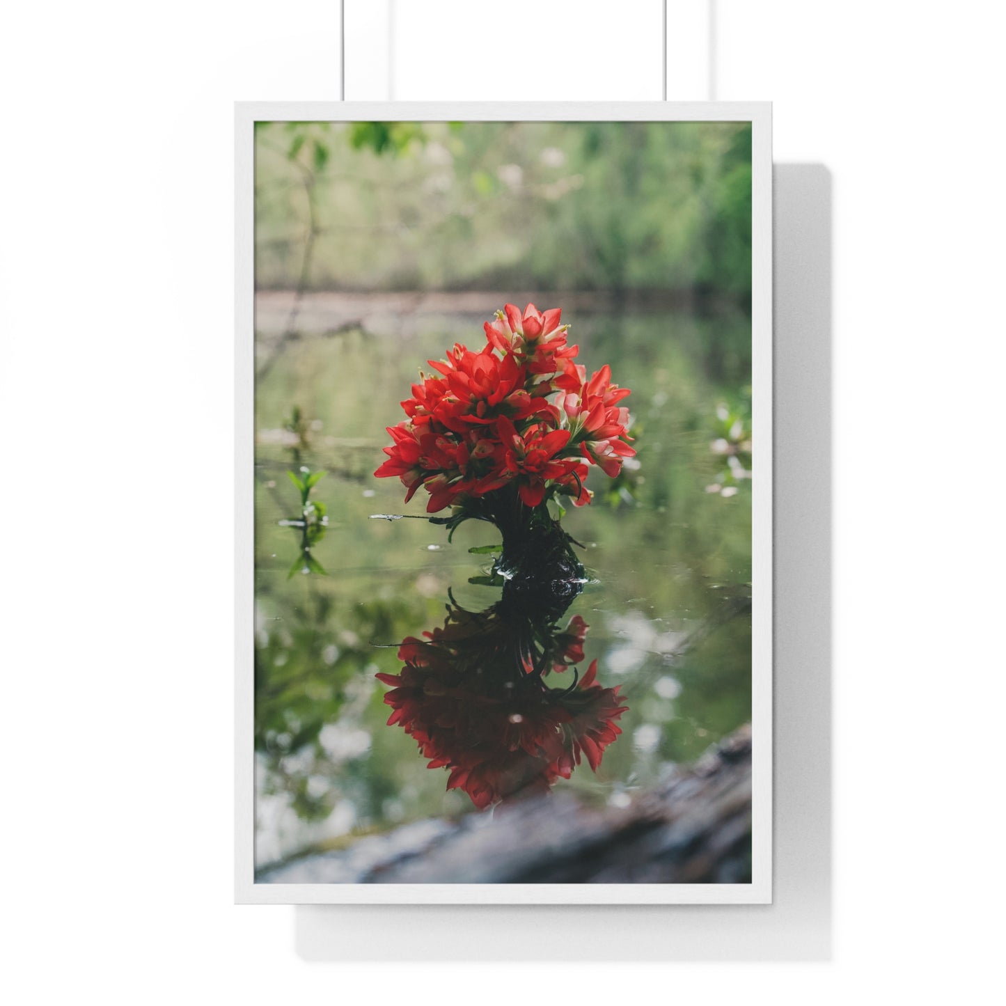 Floatin’ Bloom – Framed Floral Photography by Ryan Davis