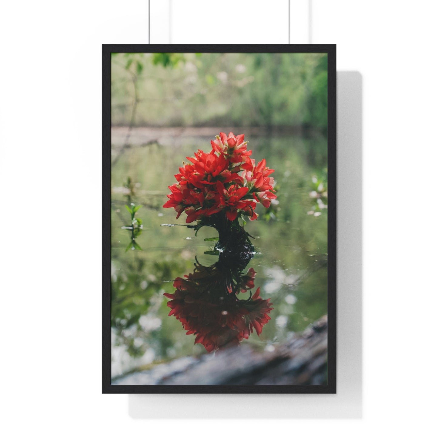 Floatin’ Bloom – Framed Floral Photography by Ryan Davis