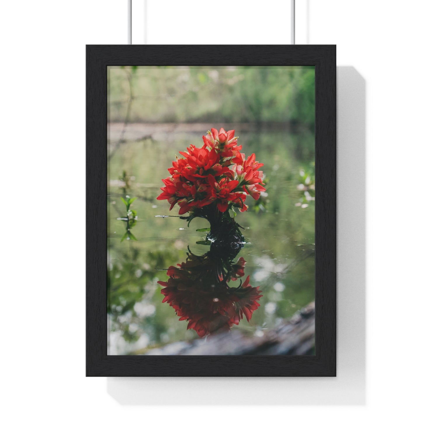 Floatin’ Bloom – Framed Floral Photography by Ryan Davis