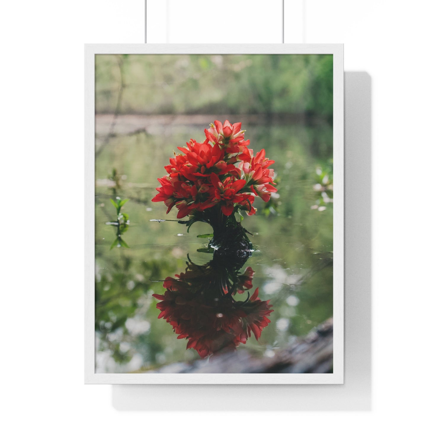 Floatin’ Bloom – Framed Floral Photography by Ryan Davis