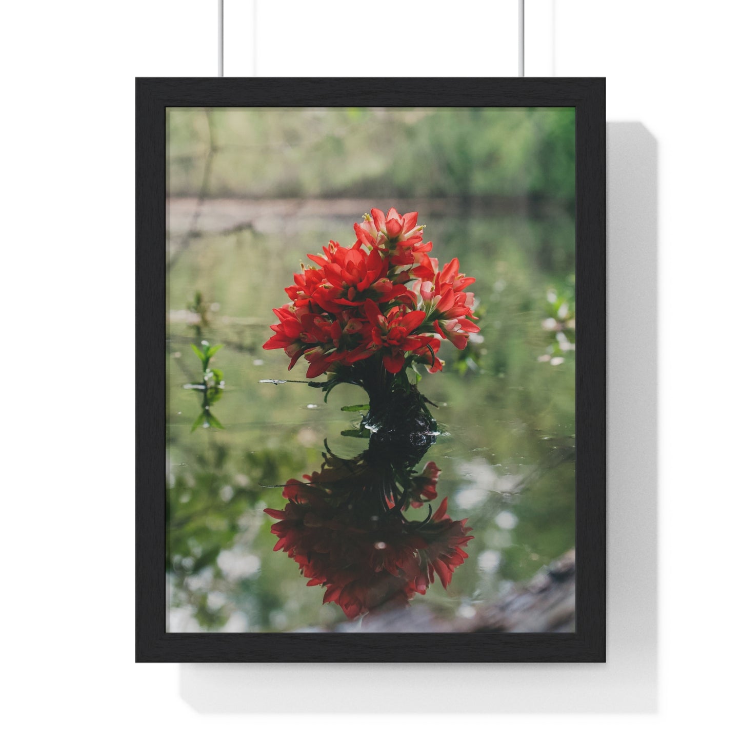 Floatin’ Bloom – Framed Floral Photography by Ryan Davis